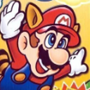 Play New Super Mario Bros