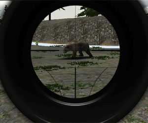 Play Animal Hunter 3D